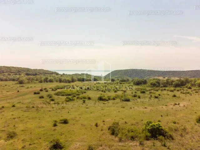 Eladó kereskedelmi és ipari ingatlan Szentkirályszabadja 68921 nm