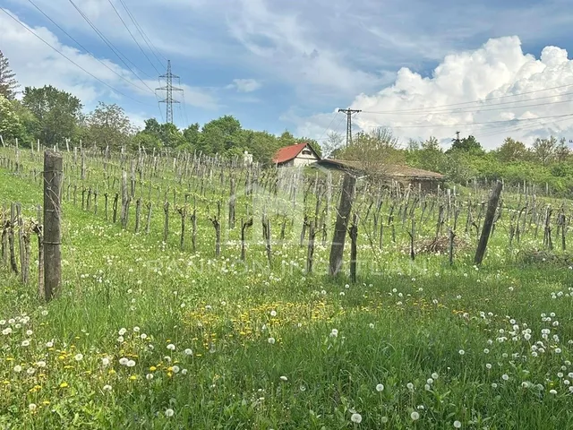 Eladó ház Balatonszőlős 100 nm