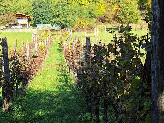 Eladó telek Magyarpolány 2070 nm