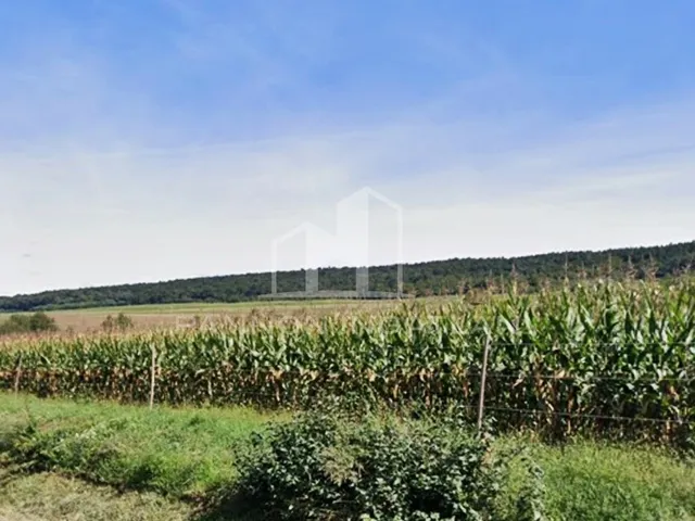 Eladó telek Vigántpetend 20172 nm