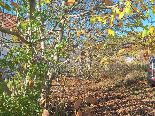 Eladó telek Magyarpolány 1336 nm