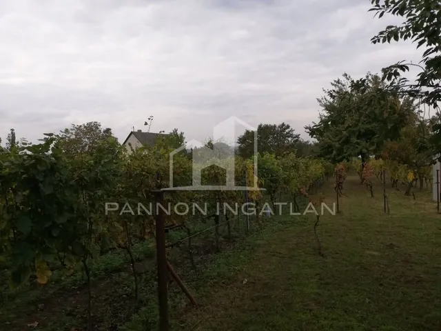Eladó telek Somlószőlős 2200 nm