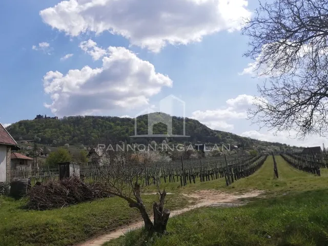 Eladó telek Somlószőlős 2200 nm