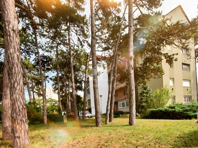 Eladó lakás Veszprém 86 nm