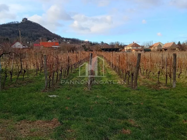 Eladó mezőgazdasági ingatlan Doba 2005 nm