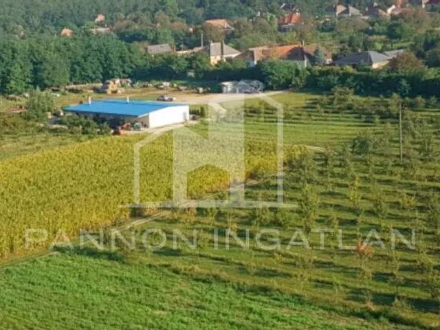 Eladó telek Csikvánd 143734 nm