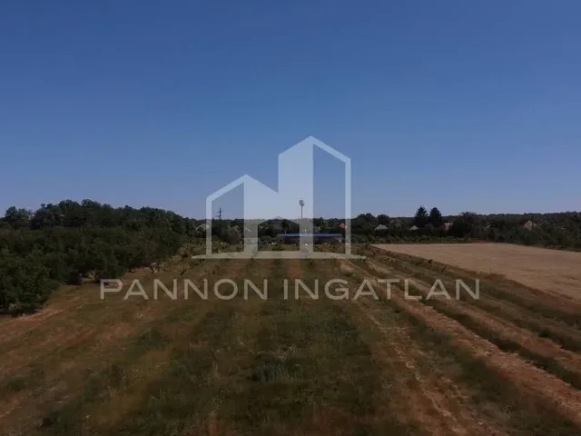 Eladó mezőgazdasági ingatlan Csikvánd 16838 nm