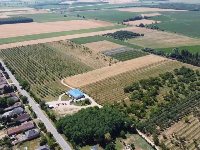 Eladó mezőgazdasági ingatlan Csikvánd 16838 nm