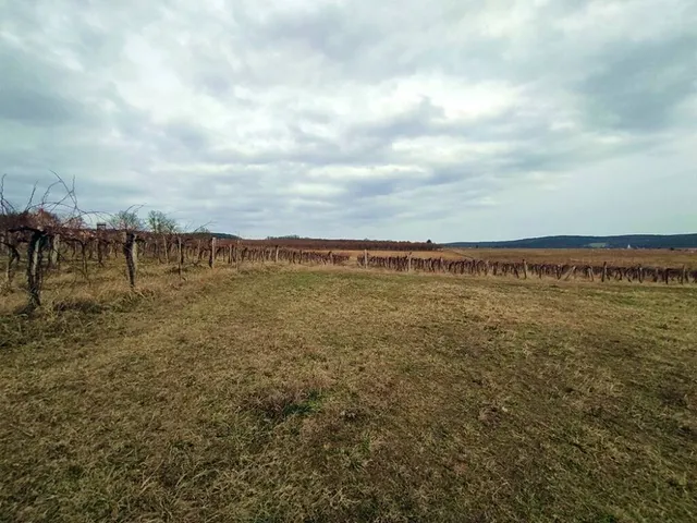 Eladó telek Balatoncsicsó 31151 nm