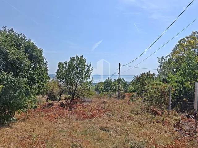 Eladó mezőgazdasági ingatlan Balatonalmádi 3142 nm