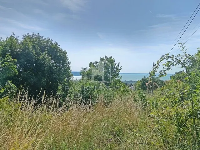 Eladó mezőgazdasági ingatlan Balatonalmádi 3142 nm