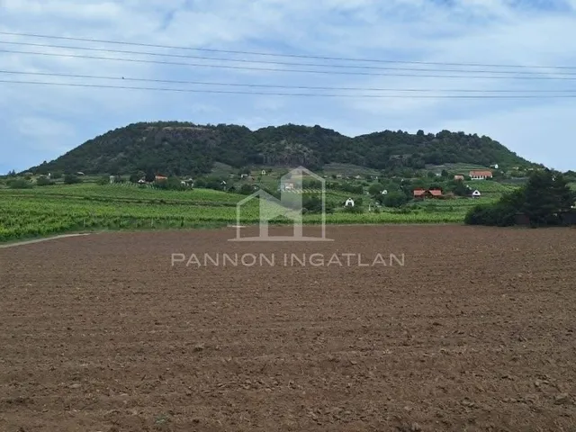 Eladó mezőgazdasági ingatlan Somlóvásárhely 1082 nm