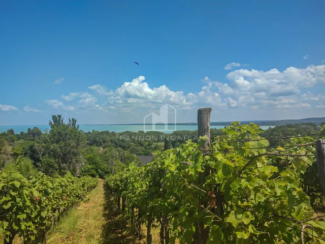 Eladó mezőgazdasági ingatlan Tihany 1514 nm