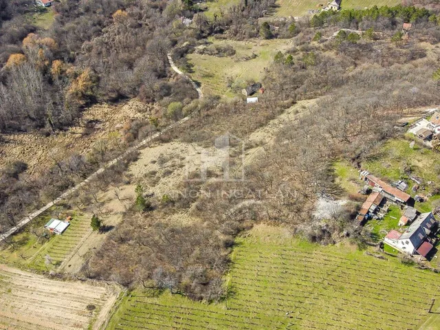 Eladó mezőgazdasági ingatlan Pécsely 7570 nm