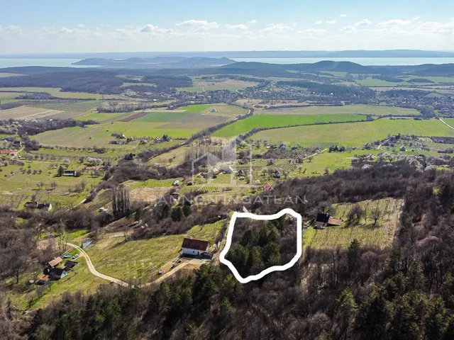 Eladó mezőgazdasági ingatlan Pécsely 3884 nm