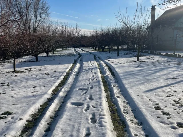 Eladó telek Nyíregyháza 3930 nm