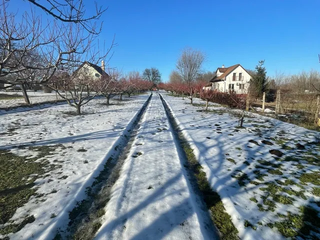 Eladó telek Nyíregyháza 3930 nm