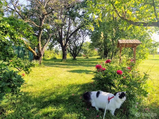 Eladó ház Sopron 430 nm