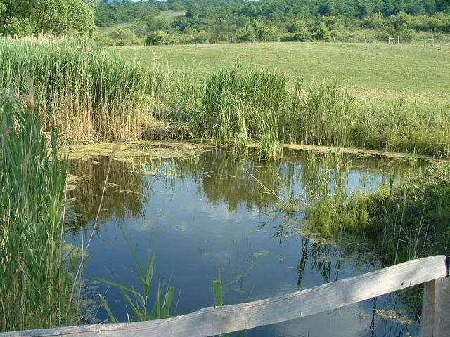 Eladó telek Felsőtárkány 230000 nm