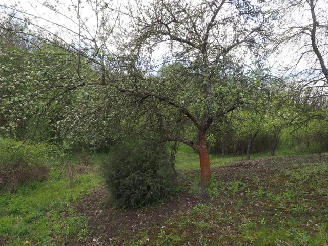 Eladó mezőgazdasági ingatlan Eger 2179 nm