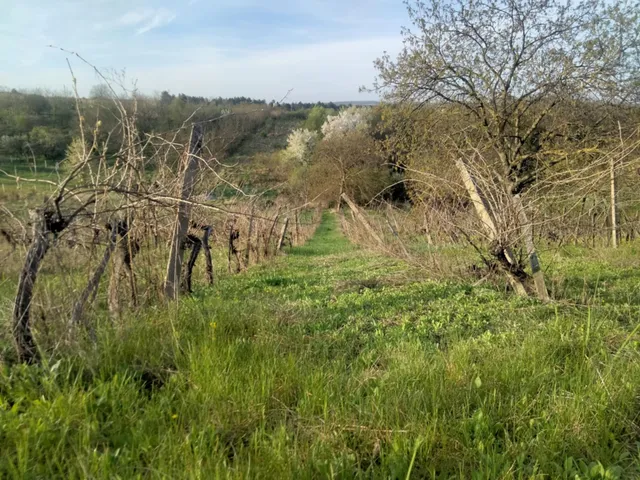 Eladó telek Eger 3143 nm