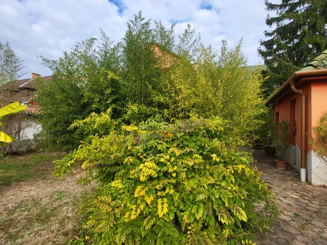 Eladó lakás Eger 61 nm