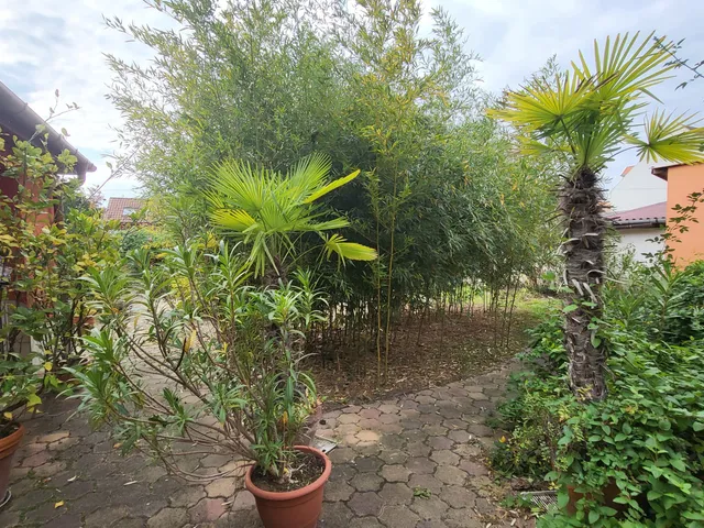 Eladó ház Eger 50 nm