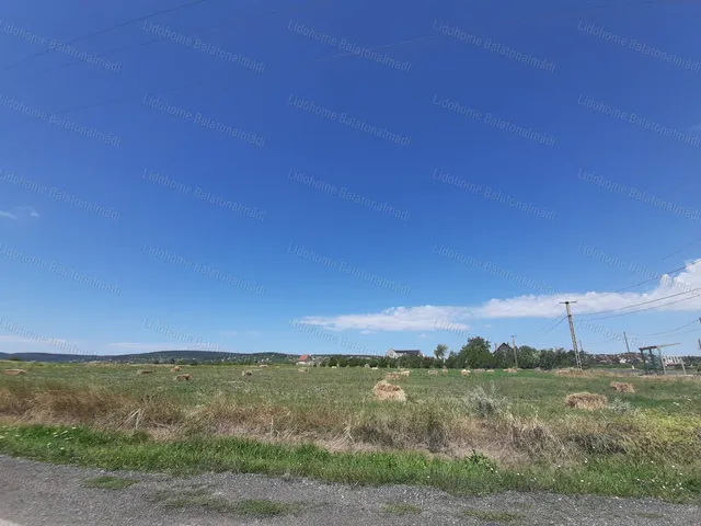 Eladó mezőgazdasági ingatlan Veszprém 2343 nm
