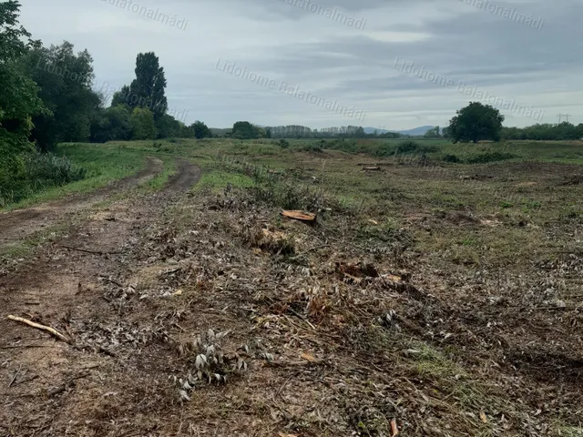 Eladó telek Papkeszi 5650 nm