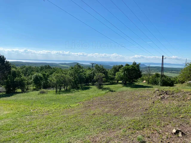 Eladó mezőgazdasági ingatlan Balatonszőlős 4009 nm