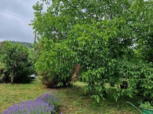 Eladó üdülő és hétvégi ház Balatonfüred, Tamáshegy 70 nm