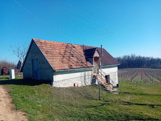 Eladó mezőgazdasági ingatlan Balatonszőlős 80 nm