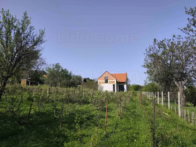 Eladó mezőgazdasági ingatlan Balatonalmádi 101 nm