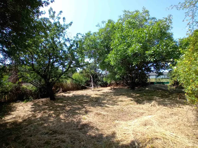 Eladó telek Paloznak 805 nm