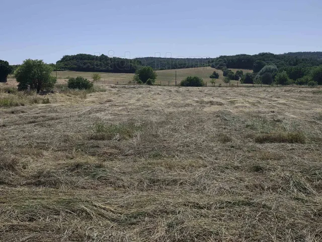 Eladó kereskedelmi és ipari ingatlan Felsőörs 12061 nm