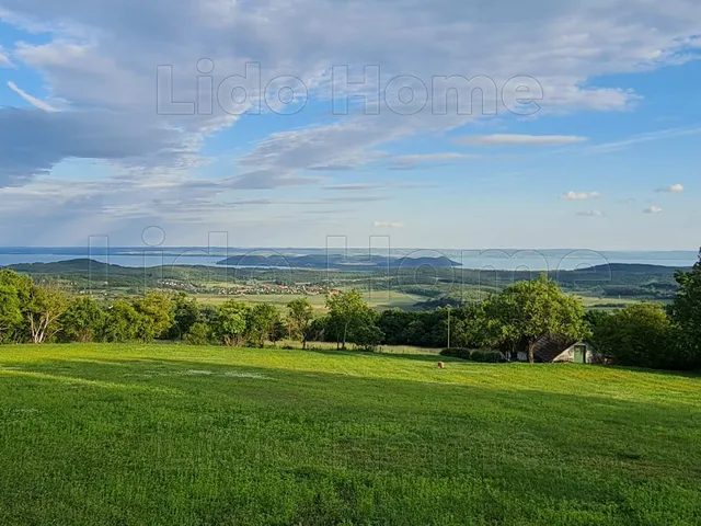 Eladó mezőgazdasági ingatlan Balatonszőlős 5402 nm