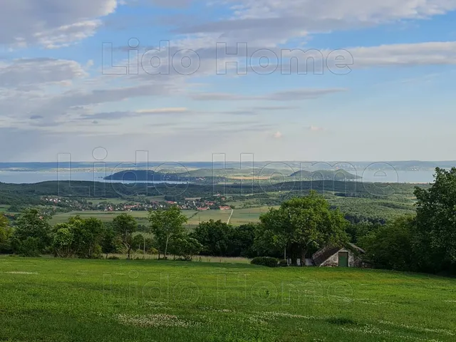 Eladó mezőgazdasági ingatlan Balatonszőlős 5402 nm