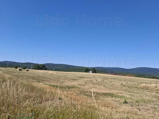 Eladó kereskedelmi és ipari ingatlan Márkó 11873 nm