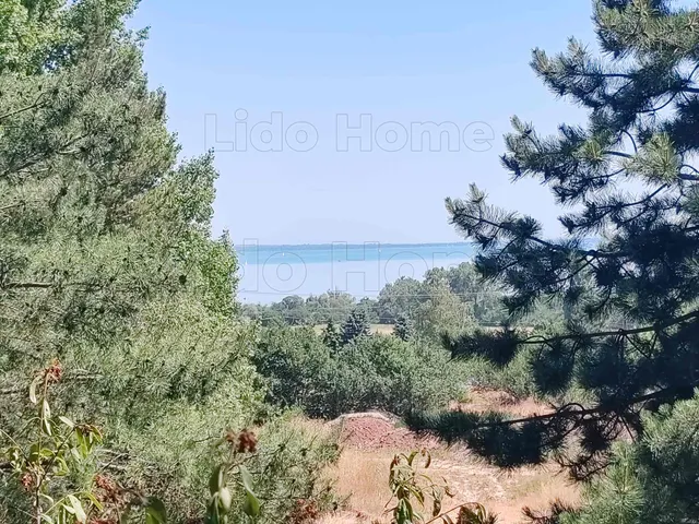 Eladó mezőgazdasági ingatlan Balatonalmádi 13334 nm