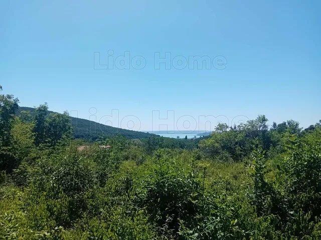 Eladó mezőgazdasági ingatlan Balatonfüred 2898 nm