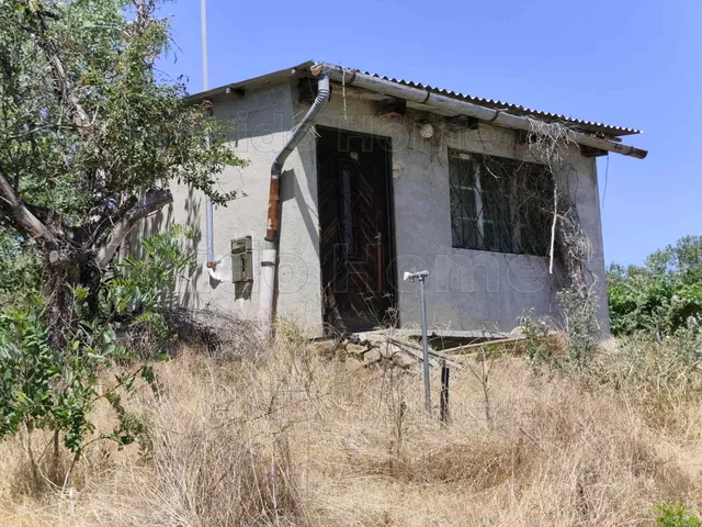 Eladó mezőgazdasági ingatlan Tagyon 1763 nm