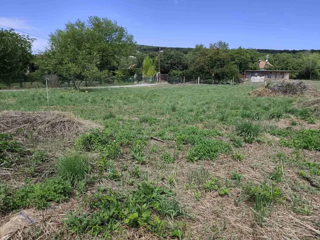 Eladó mezőgazdasági ingatlan Révfülöp 1243 nm