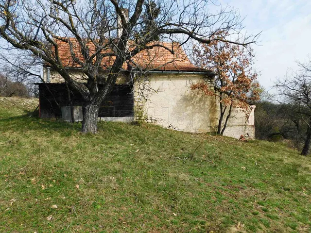 Eladó mezőgazdasági ingatlan Pécsely 104 nm