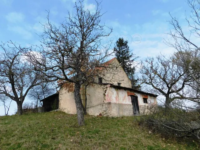 Eladó mezőgazdasági ingatlan Pécsely 104 nm