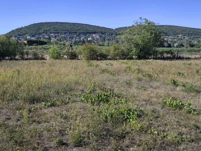 Eladó telek Csopak 1260 nm