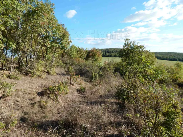 Eladó mezőgazdasági ingatlan Balatonszőlős 3050 nm