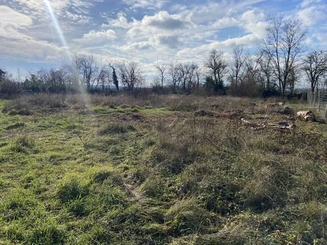 Eladó telek Papkeszi 905 nm