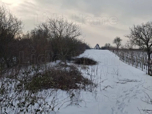 Eladó mezőgazdasági ingatlan Balatonalmádi 2177 nm