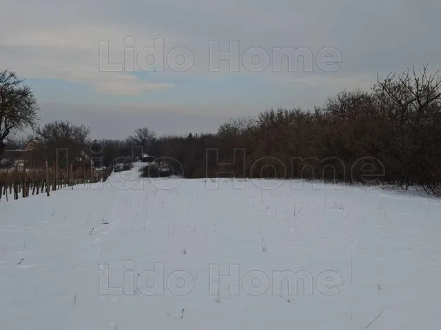 Eladó mezőgazdasági ingatlan Balatonalmádi 2177 nm