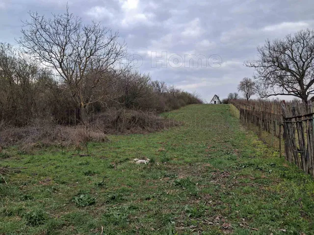 Eladó mezőgazdasági ingatlan Balatonalmádi 2177 nm